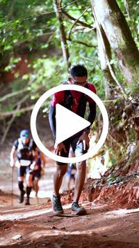 BIB:  <button type="button" onclick="openModal(27386232)" class="btn btn-primary btn-sm float-right" data-toggle="modal" data-target=".modal-high-quality">
                <i class="fa fa-download"></i> Download
                </button>